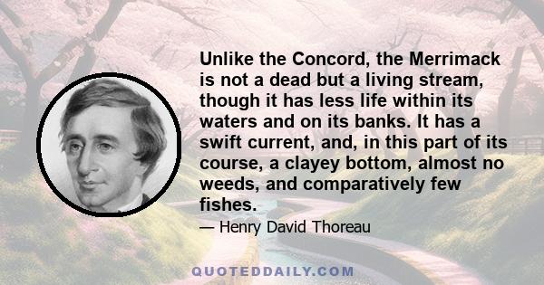 Unlike the Concord, the Merrimack is not a dead but a living stream, though it has less life within its waters and on its banks. It has a swift current, and, in this part of its course, a clayey bottom, almost no weeds,