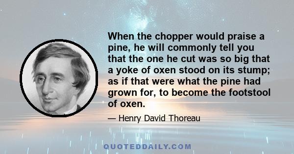 When the chopper would praise a pine, he will commonly tell you that the one he cut was so big that a yoke of oxen stood on its stump; as if that were what the pine had grown for, to become the footstool of oxen.
