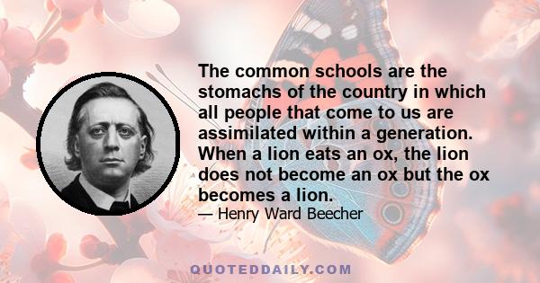 The common schools are the stomachs of the country in which all people that come to us are assimilated within a generation. When a lion eats an ox, the lion does not become an ox but the ox becomes a lion.
