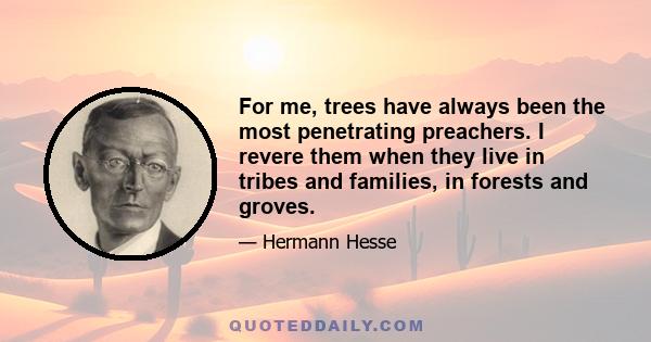 For me, trees have always been the most penetrating preachers. I revere them when they live in tribes and families, in forests and groves. And even more I revere them when they stand alone. They are like lonely persons.