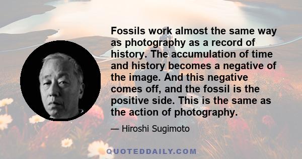 Fossils work almost the same way as photography as a record of history. The accumulation of time and history becomes a negative of the image. And this negative comes off, and the fossil is the positive side. This is the