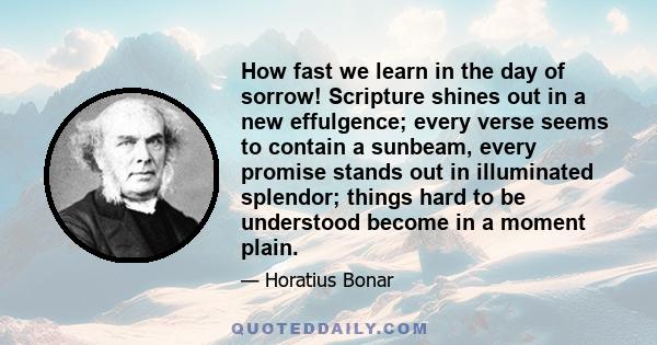 How fast we learn in the day of sorrow! Scripture shines out in a new effulgence; every verse seems to contain a sunbeam, every promise stands out in illuminated splendor; things hard to be understood become in a moment