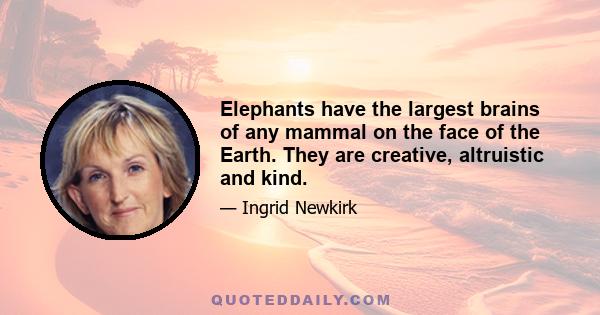 Elephants have the largest brains of any mammal on the face of the Earth. They are creative, altruistic and kind.