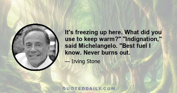 It's freezing up here. What did you use to keep warm? Indignation, said Michelangelo. Best fuel I know. Never burns out.