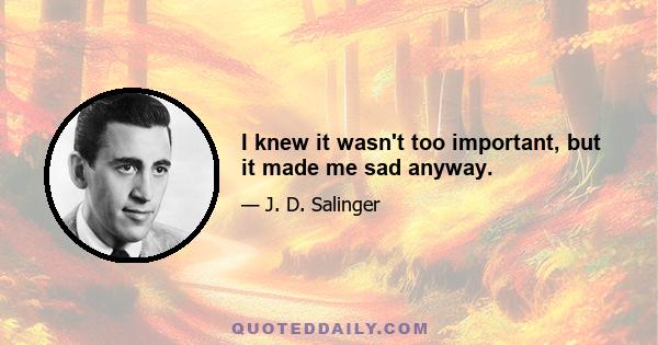 I knew it wasn't too important, but it made me sad anyway.