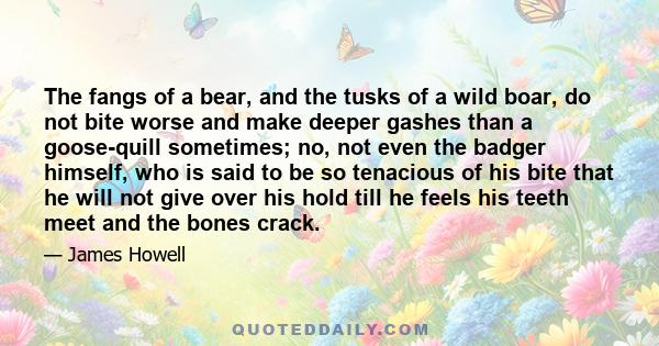 The fangs of a bear, and the tusks of a wild boar, do not bite worse and make deeper gashes than a goose-quill sometimes; no, not even the badger himself, who is said to be so tenacious of his bite that he will not give