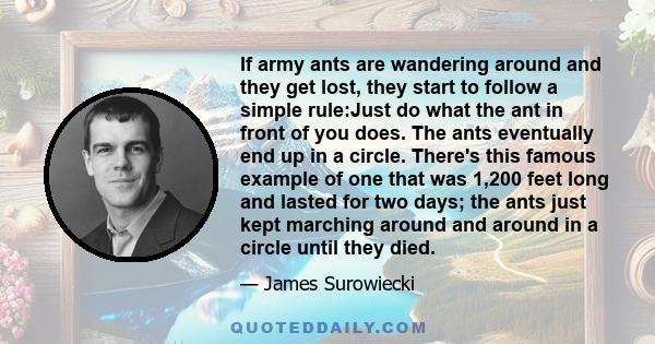 If army ants are wandering around and they get lost, they start to follow a simple rule:Just do what the ant in front of you does. The ants eventually end up in a circle. There's this famous example of one that was