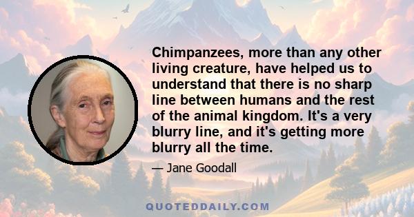 Chimpanzees, more than any other living creature, have helped us to understand that there is no sharp line between humans and the rest of the animal kingdom. It's a very blurry line, and it's getting more blurry all the