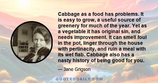 Cabbage as a food has problems. It is easy to grow, a useful source of greenery for much of the year. Yet as a vegetable it has original sin, and needs improvement. It can smell foul in the pot, linger through the house