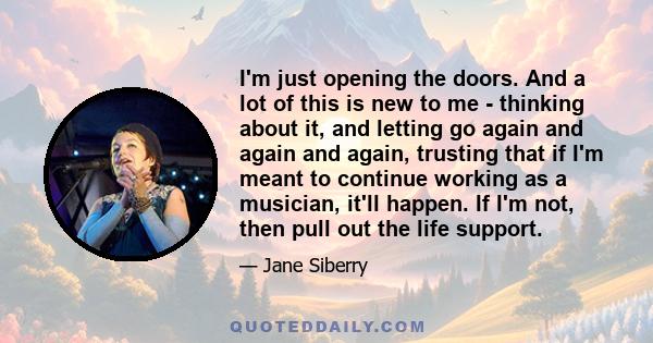 I'm just opening the doors. And a lot of this is new to me - thinking about it, and letting go again and again and again, trusting that if I'm meant to continue working as a musician, it'll happen. If I'm not, then pull
