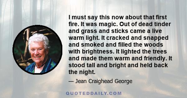 I must say this now about that first fire. It was magic. Out of dead tinder and grass and sticks came a live warm light. It cracked and snapped and smoked and filled the woods with brightness. It lighted the trees and