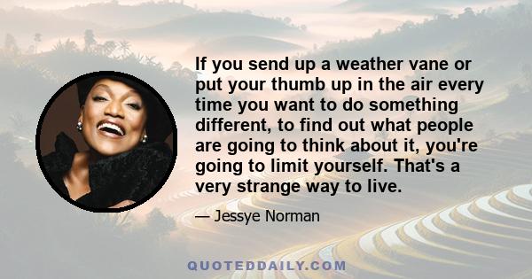 If you send up a weather vane or put your thumb up in the air every time you want to do something different, to find out what people are going to think about it, you're going to limit yourself. That's a very strange way
