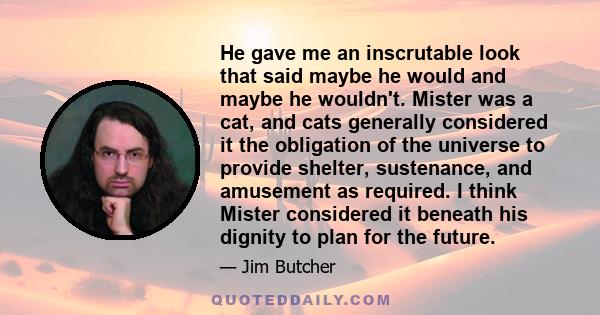 He gave me an inscrutable look that said maybe he would and maybe he wouldn't. Mister was a cat, and cats generally considered it the obligation of the universe to provide shelter, sustenance, and amusement as required.