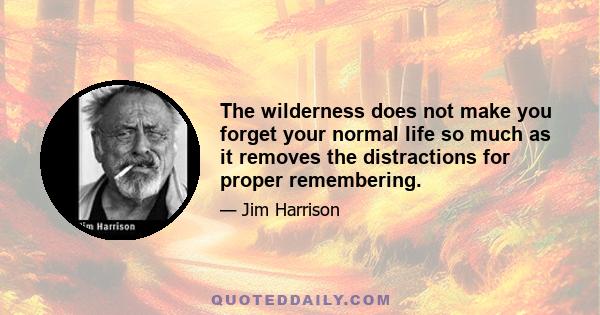 The wilderness does not make you forget your normal life so much as it removes the distractions for proper remembering.