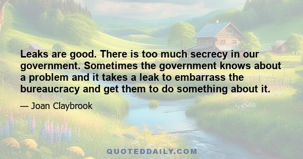 Leaks are good. There is too much secrecy in our government. Sometimes the government knows about a problem and it takes a leak to embarrass the bureaucracy and get them to do something about it.