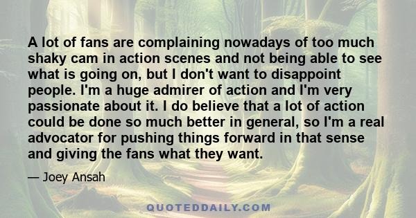 A lot of fans are complaining nowadays of too much shaky cam in action scenes and not being able to see what is going on, but I don't want to disappoint people. I'm a huge admirer of action and I'm very passionate about