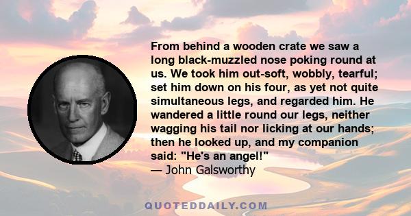 From behind a wooden crate we saw a long black-muzzled nose poking round at us. We took him out-soft, wobbly, tearful; set him down on his four, as yet not quite simultaneous legs, and regarded him. He wandered a little