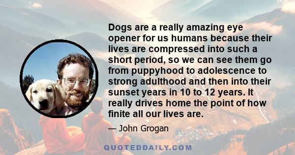 Dogs are a really amazing eye opener for us humans because their lives are compressed into such a short period, so we can see them go from puppyhood to adolescence to strong adulthood and then into their sunset years in