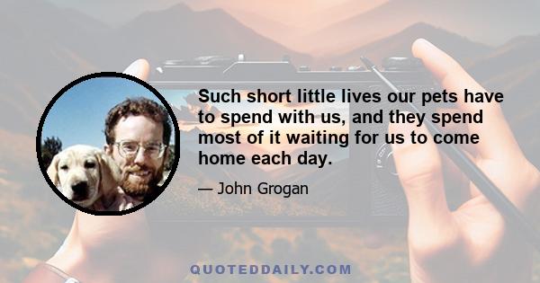 Such short little lives our pets have to spend with us, and they spend most of it waiting for us to come home each day.
