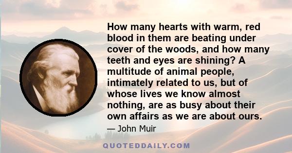 How many hearts with warm, red blood in them are beating under cover of the woods, and how many teeth and eyes are shining? A multitude of animal people, intimately related to us, but of whose lives we know almost