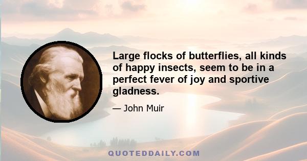 Large flocks of butterflies, all kinds of happy insects, seem to be in a perfect fever of joy and sportive gladness.