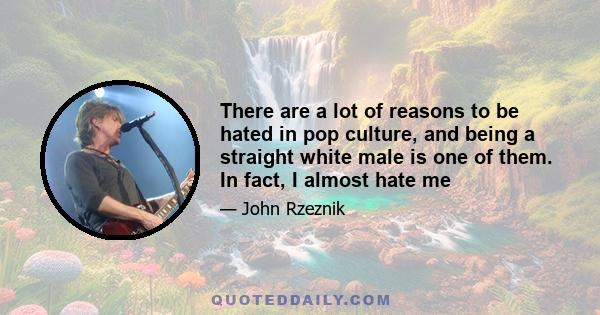 There are a lot of reasons to be hated in pop culture, and being a straight white male is one of them. In fact, I almost hate me