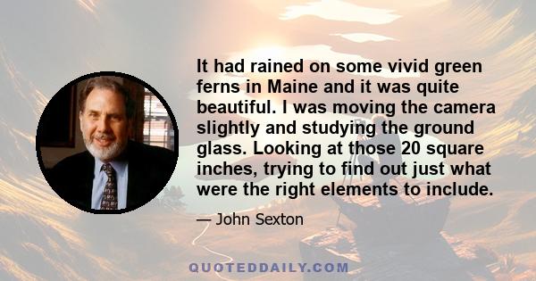 It had rained on some vivid green ferns in Maine and it was quite beautiful. I was moving the camera slightly and studying the ground glass. Looking at those 20 square inches, trying to find out just what were the right