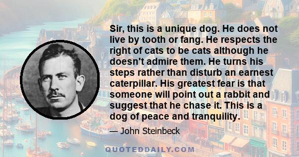 Sir, this is a unique dog. He does not live by tooth or fang. He respects the right of cats to be cats although he doesn't admire them. He turns his steps rather than disturb an earnest caterpillar. His greatest fear is