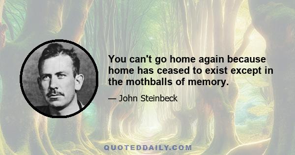 You can't go home again because home has ceased to exist except in the mothballs of memory.