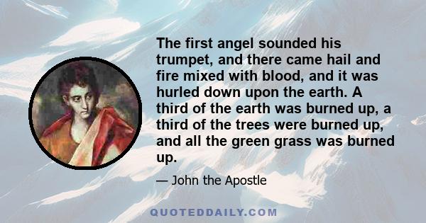 The first angel sounded his trumpet, and there came hail and fire mixed with blood, and it was hurled down upon the earth. A third of the earth was burned up, a third of the trees were burned up, and all the green grass