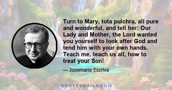 Turn to Mary, tota pulchra, all pure and wonderful, and tell her: Our Lady and Mother, the Lord wanted you yourself to look after God and tend him with your own hands. Teach me, teach us all, how to treat your Son!