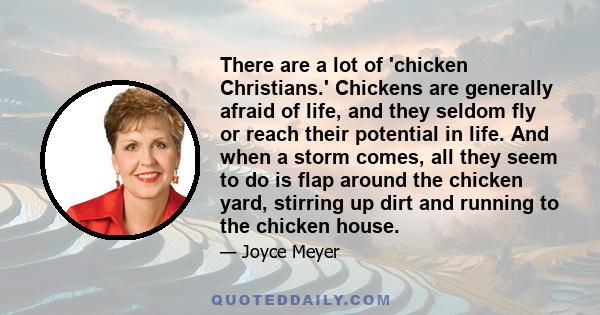 There are a lot of 'chicken Christians.' Chickens are generally afraid of life, and they seldom fly or reach their potential in life. And when a storm comes, all they seem to do is flap around the chicken yard, stirring