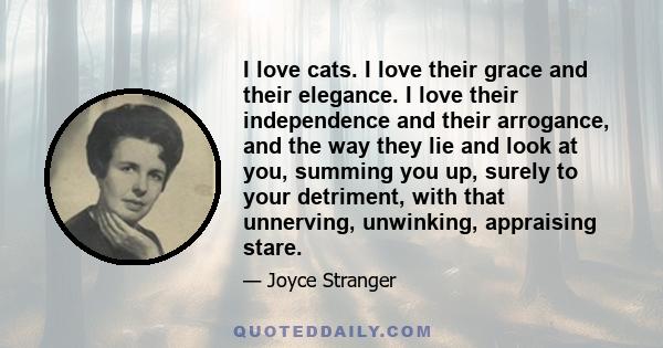 I love cats. I love their grace and their elegance. I love their independence and their arrogance, and the way they lie and look at you, summing you up, surely to your detriment, with that unnerving, unwinking,