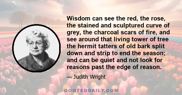 Wisdom can see the red, the rose, the stained and sculptured curve of grey, the charcoal scars of fire, and see around that living tower of tree the hermit tatters of old bark split down and strip to end the season; and