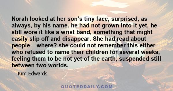 Norah looked at her son’s tiny face, surprised, as always, by his name. he had not grown into it yet, he still wore it like a wrist band, something that might easily slip off and disappear. She had read about people –