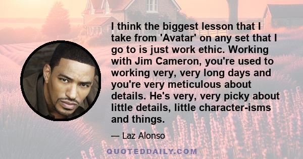 I think the biggest lesson that I take from 'Avatar' on any set that I go to is just work ethic. Working with Jim Cameron, you're used to working very, very long days and you're very meticulous about details. He's very,