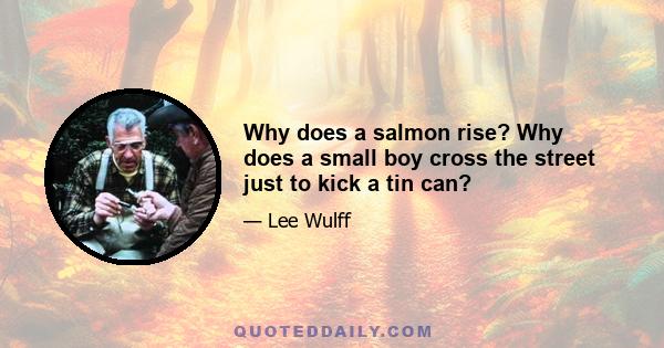 Why does a salmon rise? Why does a small boy cross the street just to kick a tin can?