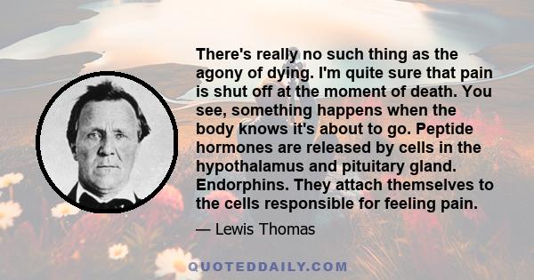 There's really no such thing as the agony of dying. I'm quite sure that pain is shut off at the moment of death. You see, something happens when the body knows it's about to go. Peptide hormones are released by cells in