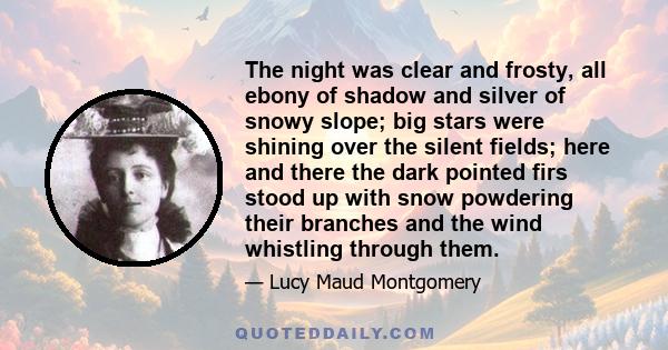 The night was clear and frosty, all ebony of shadow and silver of snowy slope; big stars were shining over the silent fields; here and there the dark pointed firs stood up with snow powdering their branches and the wind