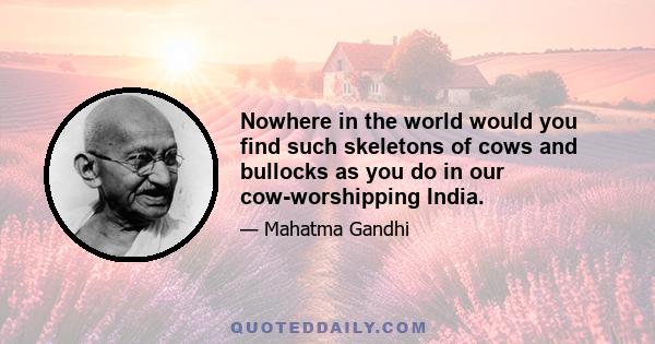 Nowhere in the world would you find such skeletons of cows and bullocks as you do in our cow-worshipping India.