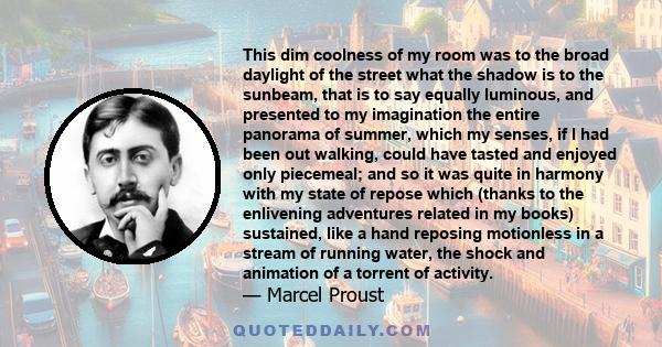 This dim coolness of my room was to the broad daylight of the street what the shadow is to the sunbeam, that is to say equally luminous, and presented to my imagination the entire panorama of summer, which my senses, if