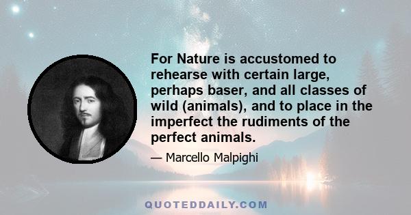 For Nature is accustomed to rehearse with certain large, perhaps baser, and all classes of wild (animals), and to place in the imperfect the rudiments of the perfect animals.