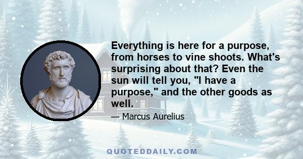 Everything is here for a purpose, from horses to vine shoots. What's surprising about that? Even the sun will tell you, I have a purpose, and the other goods as well.