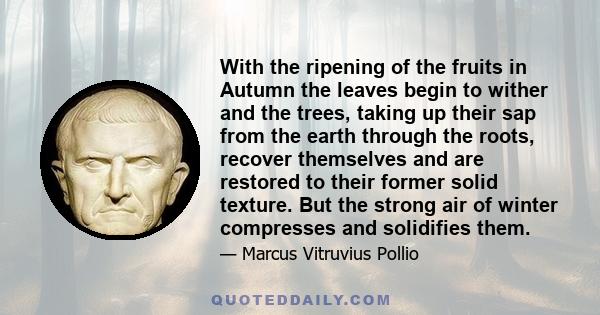 With the ripening of the fruits in Autumn the leaves begin to wither and the trees, taking up their sap from the earth through the roots, recover themselves and are restored to their former solid texture. But the strong