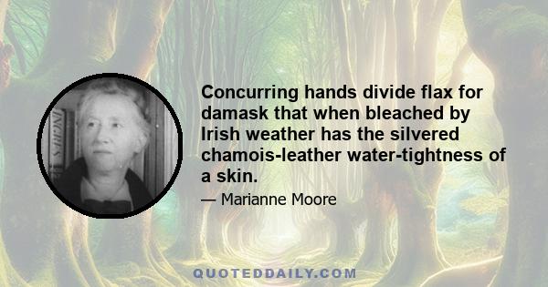 Concurring hands divide flax for damask that when bleached by Irish weather has the silvered chamois-leather water-tightness of a skin.