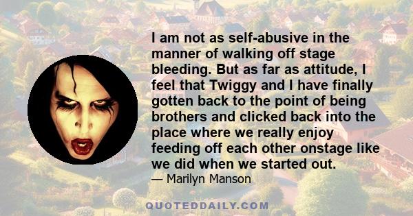 I am not as self-abusive in the manner of walking off stage bleeding. But as far as attitude, I feel that Twiggy and I have finally gotten back to the point of being brothers and clicked back into the place where we