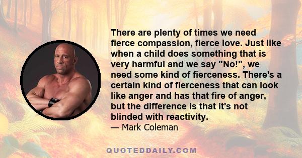 There are plenty of times we need fierce compassion, fierce love. Just like when a child does something that is very harmful and we say No!, we need some kind of fierceness. There's a certain kind of fierceness that can