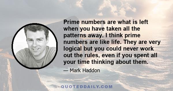 Prime numbers are what is left when you have taken all the patterns away. I think prime numbers are like life. They are very logical but you could never work out the rules, even if you spent all your time thinking about