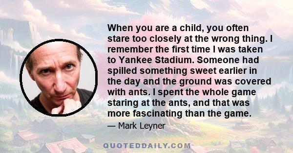 When you are a child, you often stare too closely at the wrong thing. I remember the first time I was taken to Yankee Stadium. Someone had spilled something sweet earlier in the day and the ground was covered with ants.