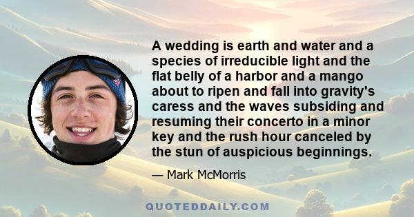 A wedding is earth and water and a species of irreducible light and the flat belly of a harbor and a mango about to ripen and fall into gravity's caress and the waves subsiding and resuming their concerto in a minor key